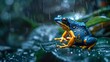 Portrait of nice colored tropical frog sitting on leaf in rain with a blurry backdrop and space for text or product, Generative AI.