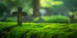 A peaceful cemetery scene with a moss-covered cross surrounded by lush greenery.