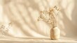 A minimalist still life of dry flowers in a vase, with soft shadow patterns on a neutral background.