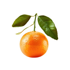 Wall Mural - Single orange with leaf