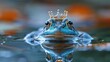   A detailed shot of a frog wearing a crown atop its head, submerged in water