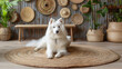 A white fluffy dog sitting on a woven mat, with basketry and plants in a cozy indoor setting, symbolizing companionship. Generative AI