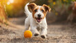 A joyful dog playing with a yellow ball, photographic style, outdoors on a sunny background, concept of pets and playtime. Generative AI