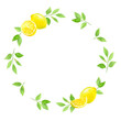 水彩で描いたレモンと葉の円形フレーム