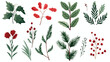 Flat vector set of Christmas plants. Holiday symbol