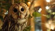 Owl perched tree branch