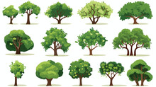 Green Deciduous Trees With Exuberant Tree Crown Vec