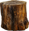 Textured old wood stump cut out png on transparent background