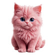 Pink fluffy cute kitten with bright blue eyes looking at camera.