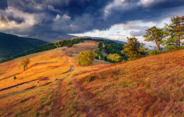 Sticker - Dramatic autumn sunset on Svydovets mountain vslley. Fantastic evening scene of Carpathian mountains, Ukraine, Europe. Beauty of nature concept background..