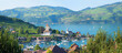 view to the castle and vineyard Spiez, tourist resort lake Thunersee