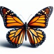 Image of isolated monarch butterfly against pure white background, ideal for presentations
