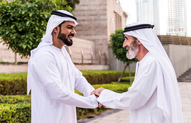 Wall Mural - Businessmen handshaking after a successful business deal