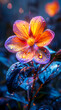 Colorful glowing beautiful flowers and water drops