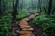 A landscape featuring a winding path leading into a dense forest