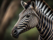 Kopf eines Zebras im Profil