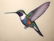 Zeichnung fliegender Kolibri mit weißem Bauch