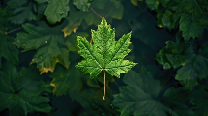 Green leaf. Generative AI