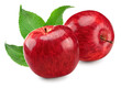 two red apples with green leaves isolated on white background. clipping path