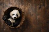 Fototapeta  - Adorable Panda Cub Relaxing in a Wooden Bowl