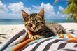 AI generated illustration of a cat relaxing on a beach blanket under a clear blue sky