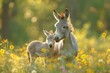 two donkeys standing in a field full of yellow flowers