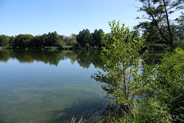 Wall Mural - gundwiesensee bei Moerfelden-Walldorf