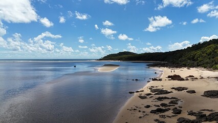 Canvas Print - Sandy beach by a sea with a forest in background