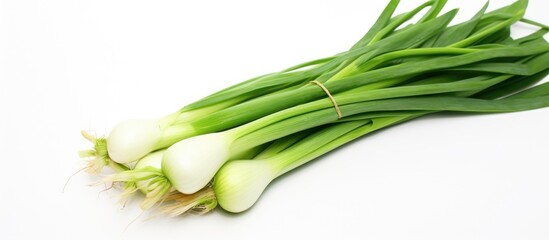 Aufkleber - Green onions close up on white surface