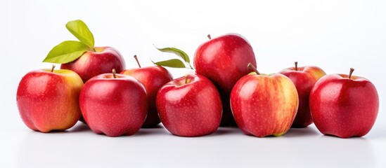Leinwandbilder - Red Apples Green Leaves Close Up