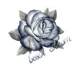 Gray rose with leaves isolated. Best Mom.