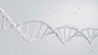 Minimalistic 3D illustration of a DNA double helix in white against a clean background. Genetic purity and medical research. 