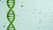 Green DNA double helix structure composed of leaves on a light blue background. Sustainable science and eco-friendly technology concept