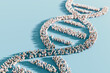 DNA double helix structure composed of human figures on a blue background with copy space. Public health and population genetics concept