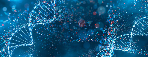 Wall Mural - sparkling dna helix structure in blue and red. high-tech concept of genetic research, bioinformatics