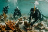 Fototapeta Do akwarium - Scuba Divers Engaged in Coral Reef Restoration
