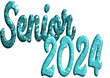 Senior 2024 -light blue glitter writing - effect tubular writing - Vector graphics - Word for greetings, banners, card, prints, cricut, silhouette, t-schietta, logo, sublimation	