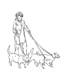 Canvas Print - Woman walking three dogs on a leash, Hand drawn linear illustration, Vector sketch people with domestic animals