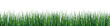 Grass green silhouette vector background . Vector illustration