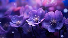 These Visually Stunning Purple Flowers Are Highlighted By Glowing Light And Glistening Dew Drops Giv