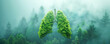 © LeManna - Green forests are the lungs of the earth. Climate changing and saving environment concept.