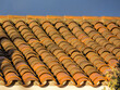 Stained tile roof