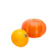 Two small pumpkins isolated on a white. There is free space for text.
