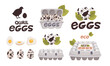 Set of vector quail eggs in different forms