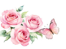Pink Rose Butterfly Sitting On Rose Copy The Space. Close-up Decorated Greeting Card. Paint Watercolor