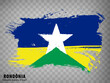 Flag of Rondonia from brush strokes. Federal Republic of Brazil. Waving Flag Rondonia of Brazil on transparent background for your web site design, app, UI. Brazil. EPS10.