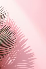 Sticker - A leafy green palm tree casts a shadow on a pink wall