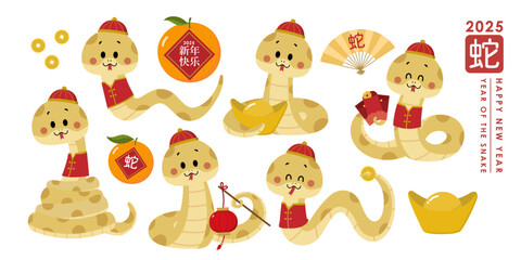 Wall Mural - Happy Chinese new year 2025 greeting card with cute golden snake and gold money. Animal zodiac cartoon character. Translate: Happy new year, snake. -Vector