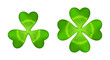 Realistic shamrock icon. Clover three leaves logo. Green floral sticker