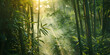 A mesmerizing scene of sunlight filtering through the tall bamboo trees in a serene forest A dense bamboo forest with rays of sunlight peeking through